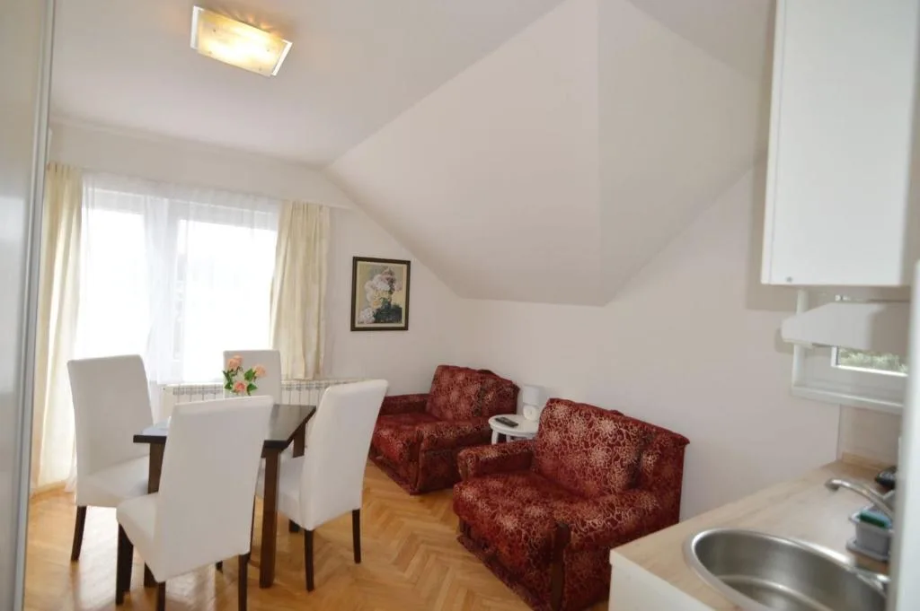 Studio apartman sa prijatnim dnevnim prostorom i radnim kutkom